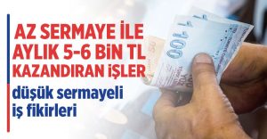 Günde 120 Lira Kazandıran 5 Muhteşem İş Önerisi