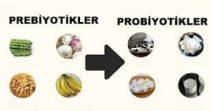 Probiyotikler ve Prebiyotikler hangi gıdalarda bulunur